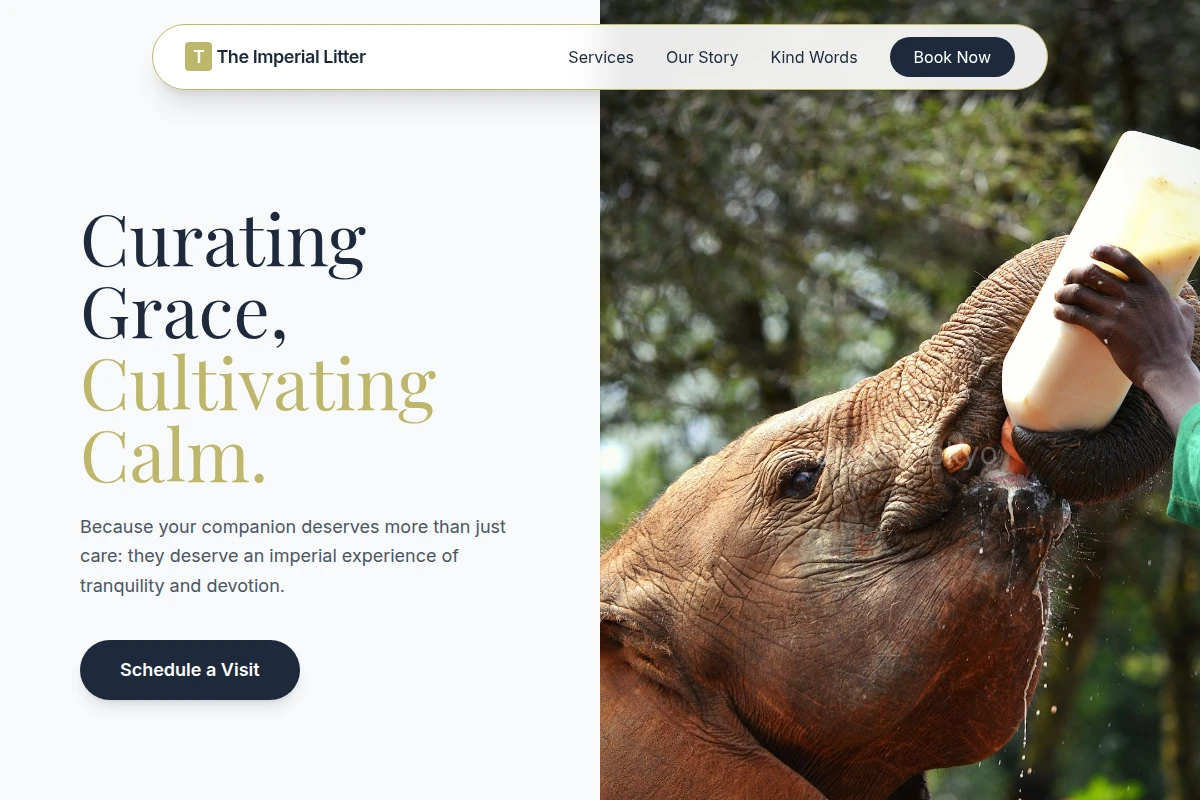Haven Animal Care