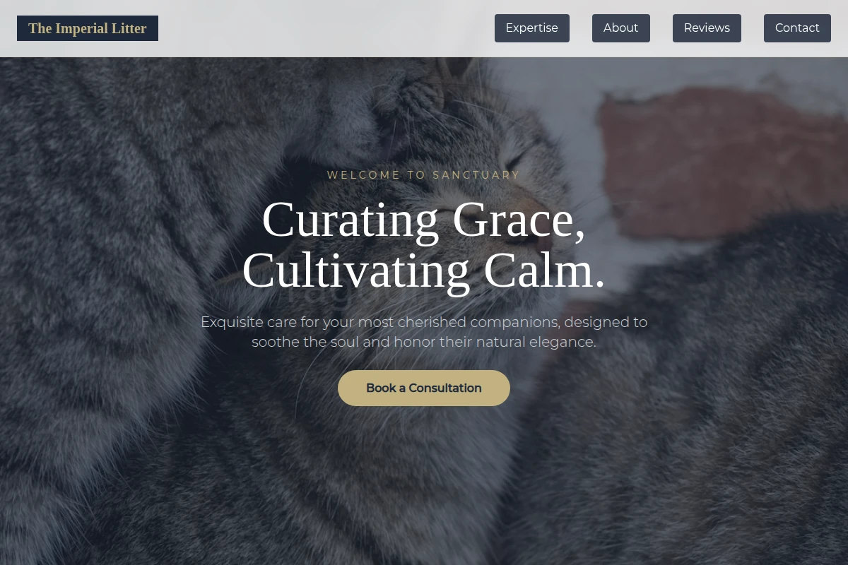 Misty Animal Care