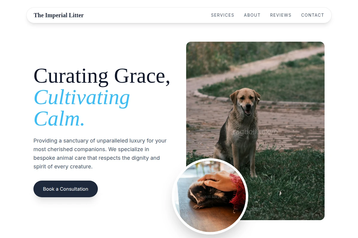 Velvet Animal Care