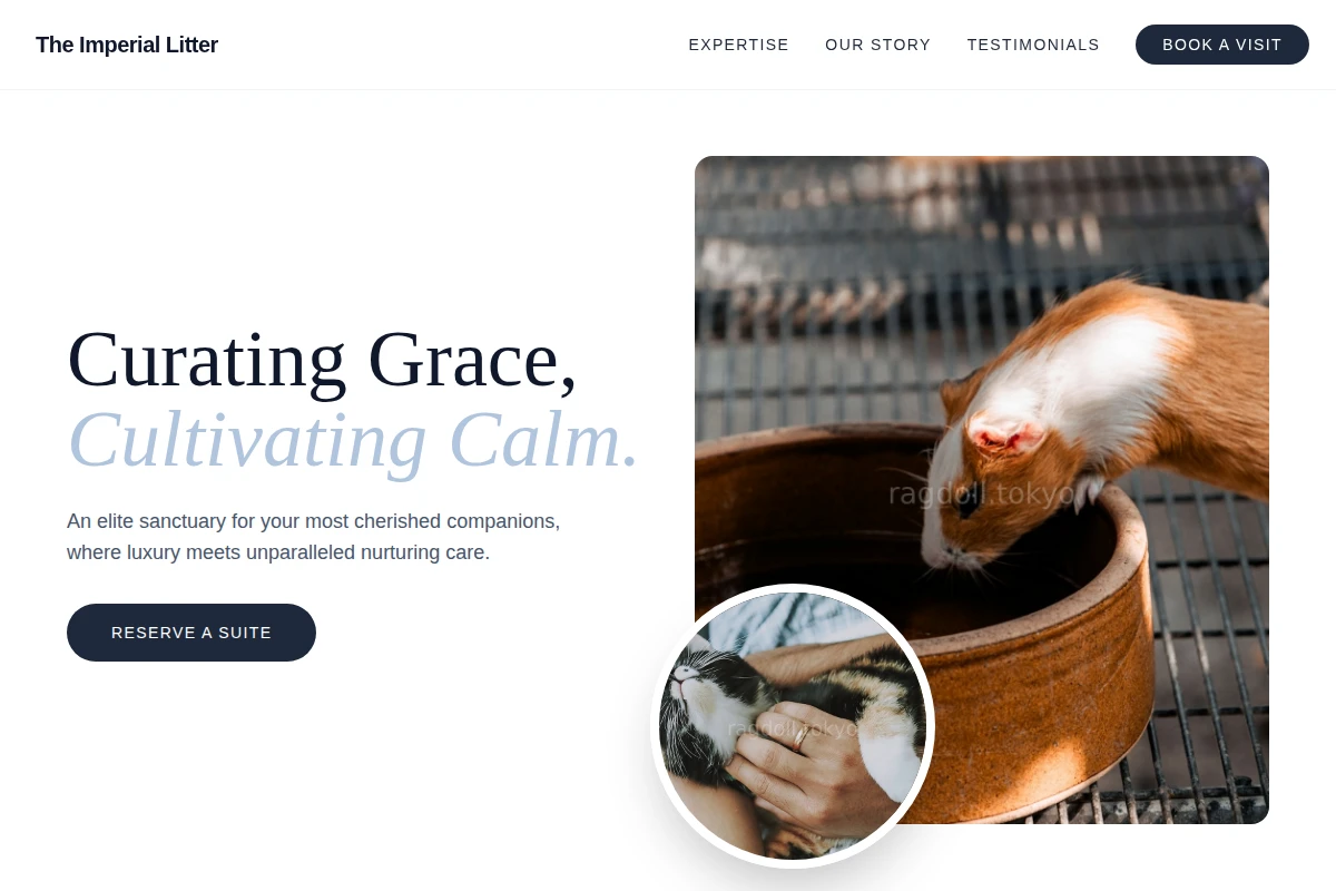 Ivory Animal Care