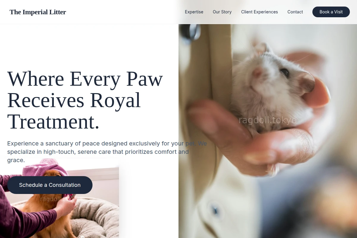 Boutique Animal Care