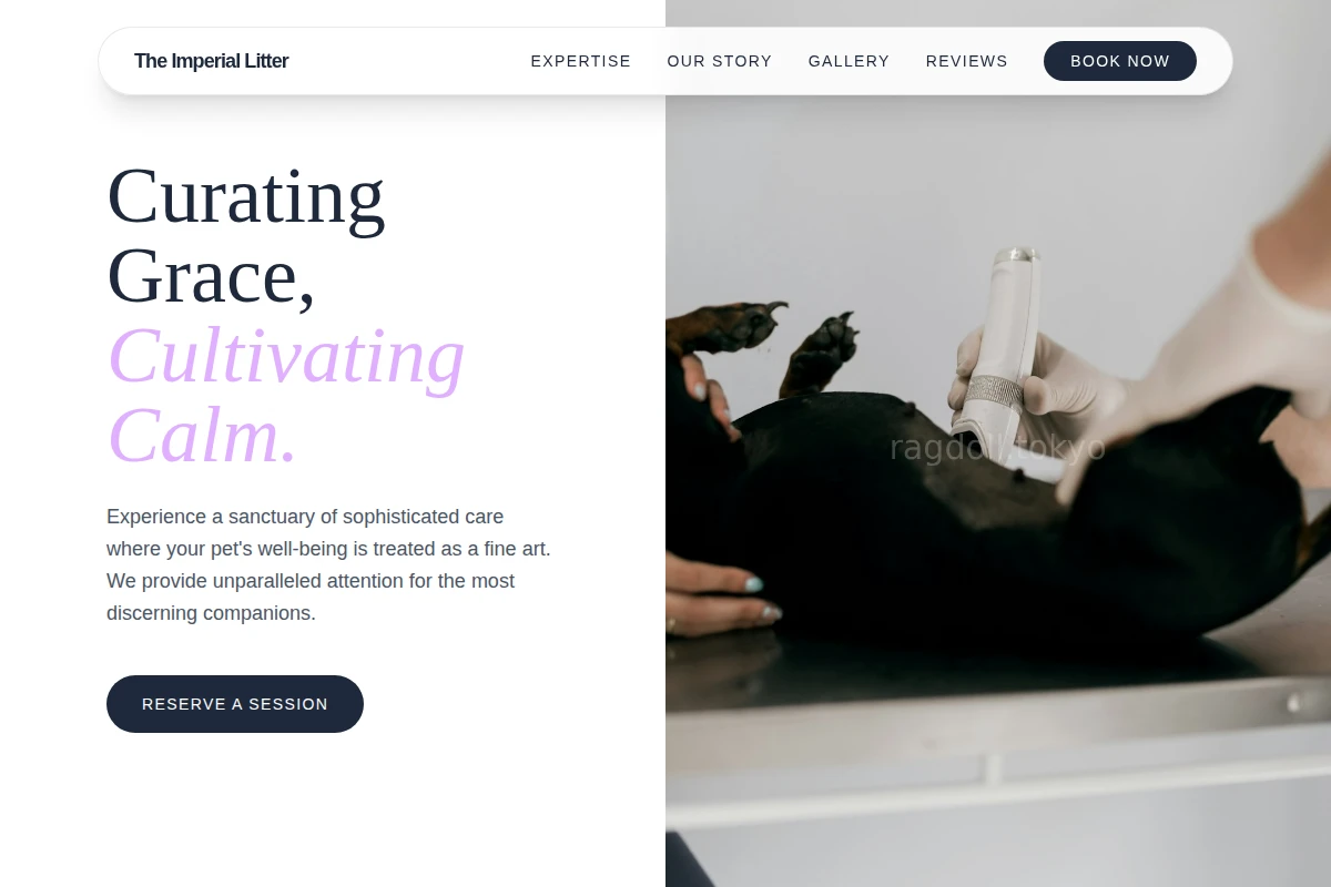 Petal Animal Care