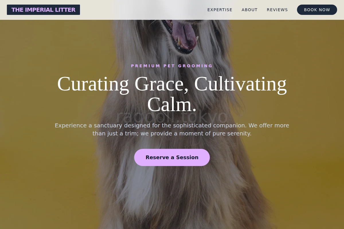 Dream Grooming