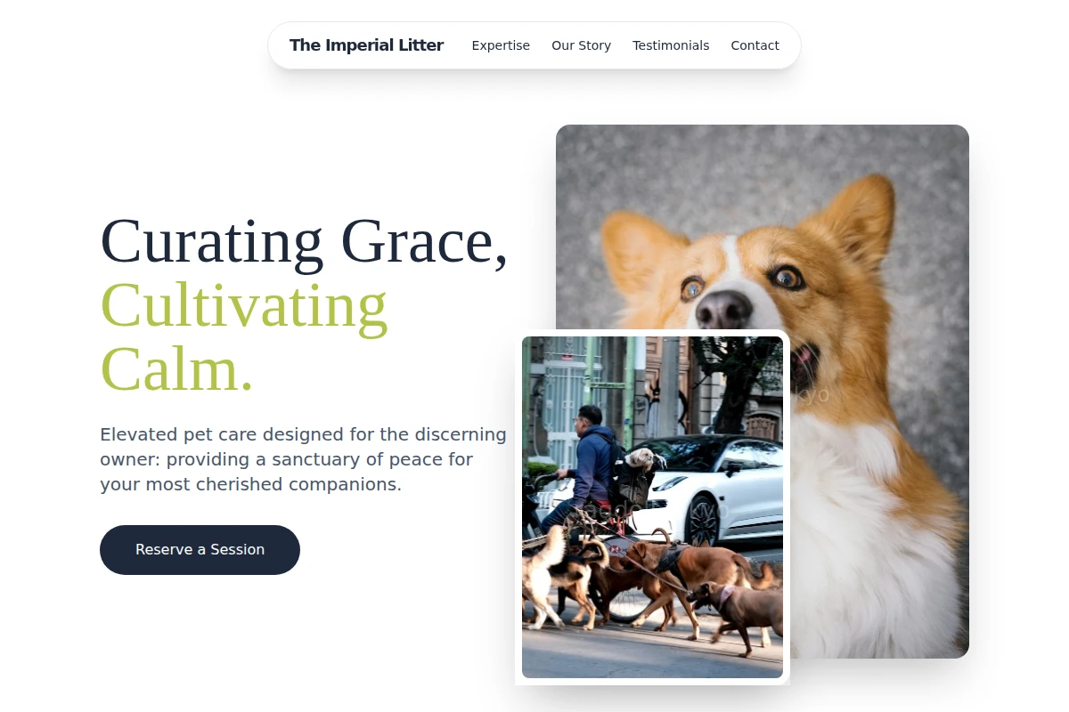Affection Pet Services