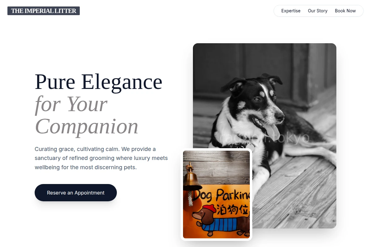 Groomed Pet Services