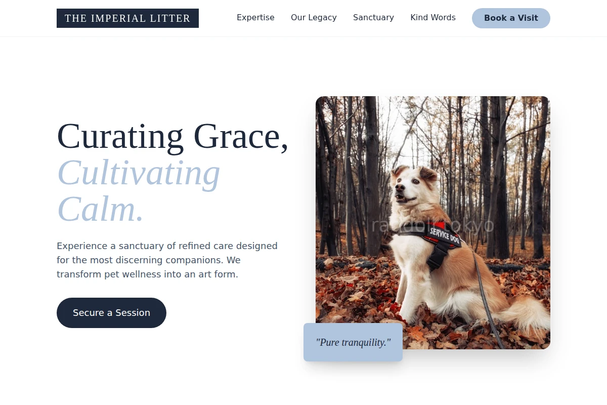 Dream Pet Services