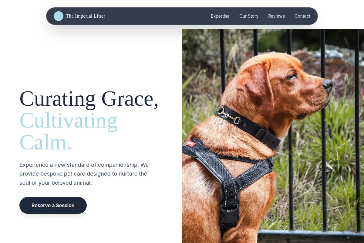 Paws Pet Services