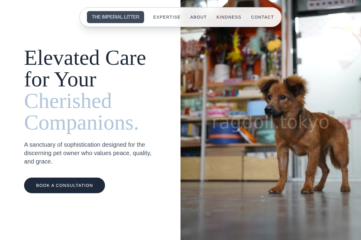 Soft Pet Shop