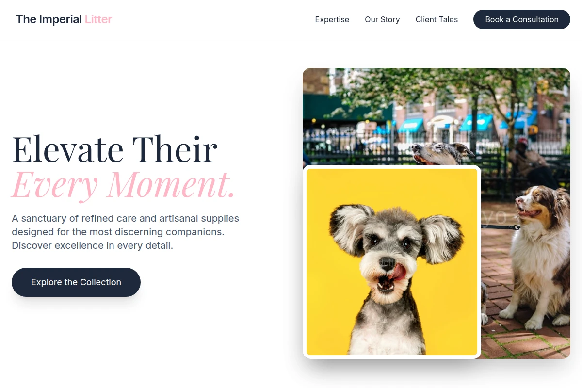 Atelier Pet Shop
